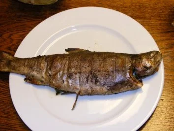 Forelle Lila - Rezept