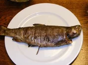 Forelle Lila - Rezept