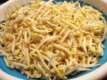 Nudeln mit Sojasprossen ... - Rezept - Bild Nr. 2