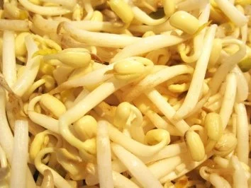 Nudeln mit Sojasprossen ... - Rezept - Bild Nr. 3