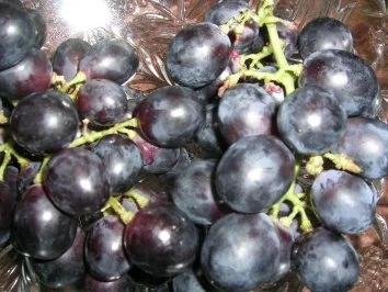 Rezept: Schweinebraten mit Trauben und Roséwein - Arrosta all`uva rosata Bild Nr. 8 Schweinebraten mit Trauben und Roséwein - Arrosta all`uva rosata - Rezept - Bild Nr. 8