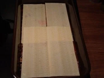 Hokuspokus Lasagne - Rezept - Bild Nr. 4