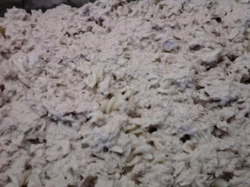 Rezept: Thunfisch-Nudel-Auflauf Bild Nr. 8 Thunfisch-Nudel-Auflauf - Rezept - Bild Nr. 8