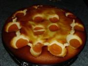 Aprikosen-Käsetorte - Rezept