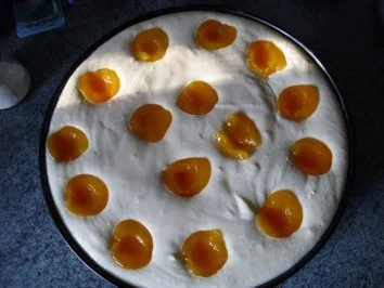 Aprikosen-Käsetorte - Rezept - Bild Nr. 7