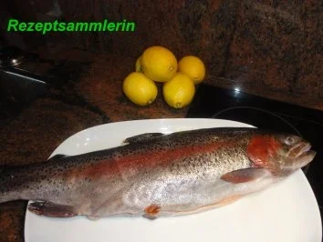 Rezept: Fisch: LACHSFORELLE, gebraten Bild Nr. 2 Fisch: LACHSFORELLE, gebraten - Rezept - Bild Nr. 2