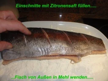 Rezept: Fisch: LACHSFORELLE, gebraten Bild Nr. 5 Fisch: LACHSFORELLE, gebraten - Rezept - Bild Nr. 5