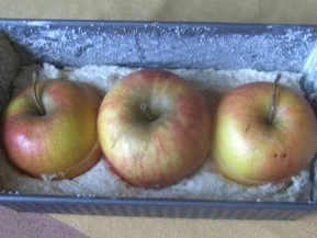 Cookies' kleiner Bratapfelkuchen... - Rezept - Bild Nr. 3