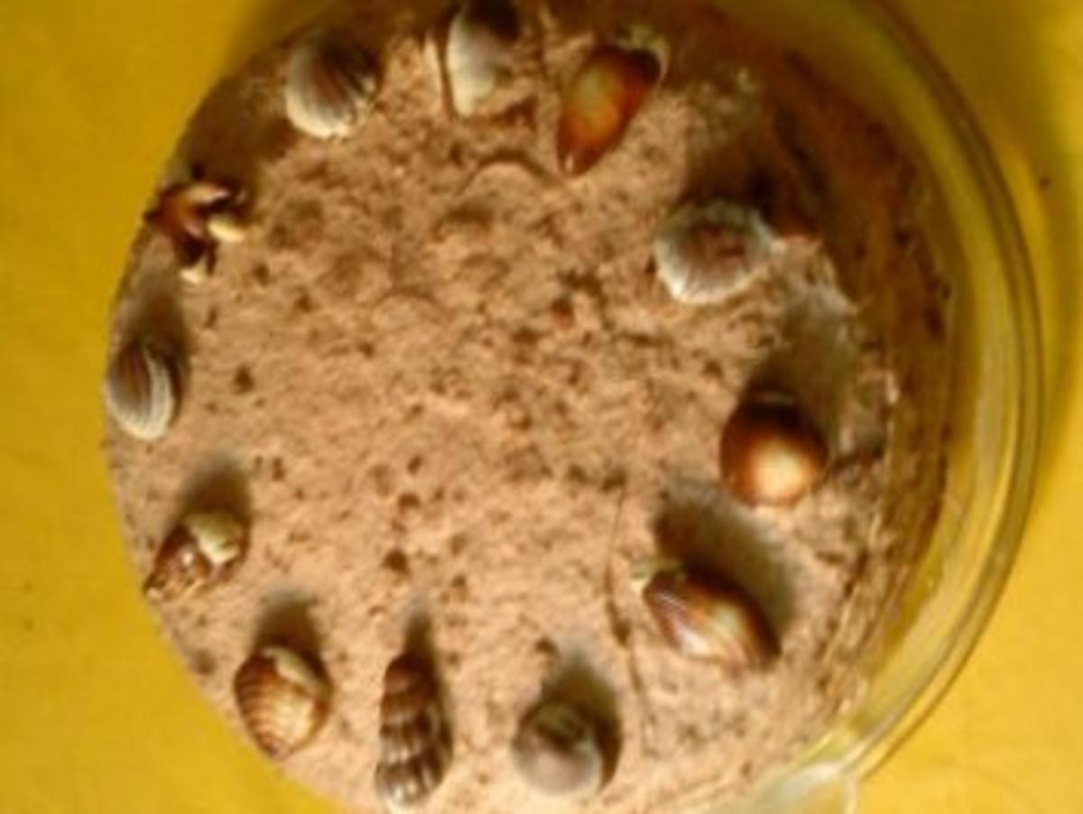 nuttella-belgische meeresfrüchte-kirsch sahne torte - Rezept - Bild Nr. 2