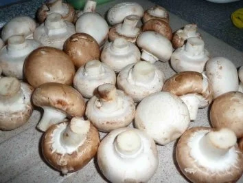 Champignon-Bratwurst-Pfanne auf Kartoffelbrei - Rezept - Bild Nr. 3