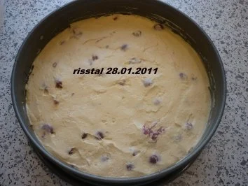 Kirsch - Aprikosen - Kuchen - Rezept - Bild Nr. 5