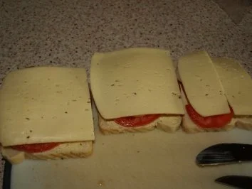 Rezept: Tomaten-Zwiebel-Toast überbacken Bild Nr. 3 Tomaten-Zwiebel-Toast überbacken - Rezept - Bild Nr. 3