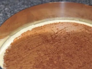 Rezept: Mango-Sahne-Torte Bild Nr. 4 Mango-Sahne-Torte - Rezept - Bild Nr. 4