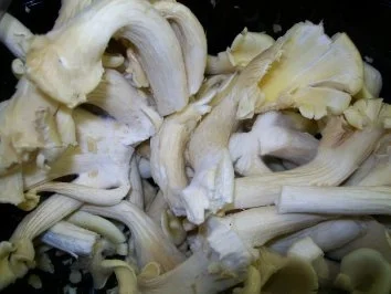 gepfefferte Ente auf gebratenen Grüntee-Nudeln - Rezept - Bild Nr. 7