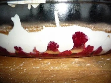 Traum aus Himbeeren und Joghurt - Rezept - Bild Nr. 4