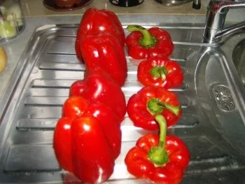 Rezept: gefüllte Paprikaschoten Bild Nr. 3 gefüllte Paprikaschoten - Rezept - Bild Nr. 3