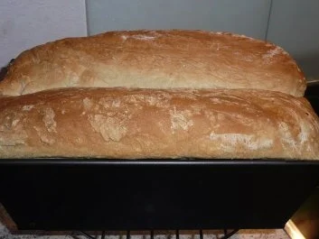 Brot: Weißbrot (Toastbrot) - Rezept - Bild Nr. 3