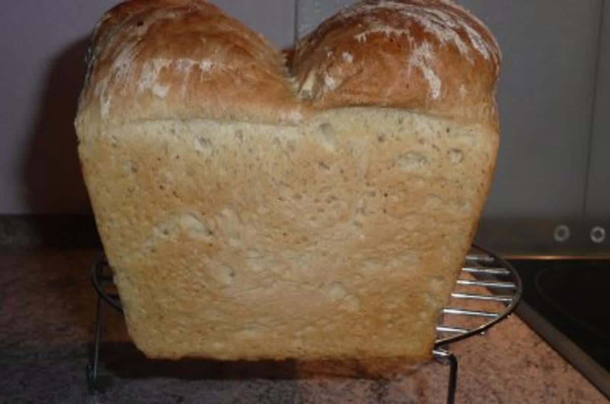 Brot: Weißbrot (Toastbrot) - Rezept - Bild Nr. 4
