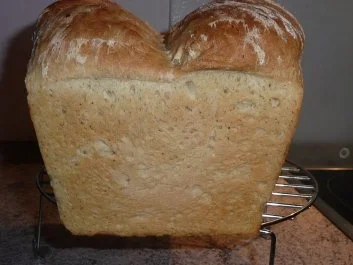 Brot: Weißbrot (Toastbrot) - Rezept - Bild Nr. 4