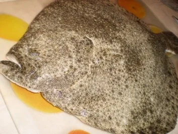 Rezept: Steinbutt mit Vinaigrette von Datteltomaten Bild Nr. 2 Steinbutt mit Vinaigrette von Datteltomaten - Rezept - Bild Nr. 2