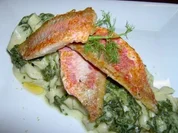 Krossgebratene Rotbarben auf Tagliatelle mit Spinatsosse - Rezept