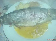 Rezept: Alufolie - Forelle in Orangen-Butter-Sauce Alufolie - Forelle in Orangen-Butter-Sauce - Rezept