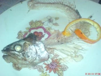 Alufolie - Forelle in Orangen-Butter-Sauce - Rezept - Bild Nr. 3