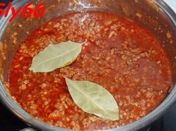 Soßen:Hackfleisch-Gemüse Soße ohne Tomaten - Rezept - Bild Nr. 10