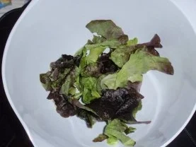 Rezept: Bunter Salat mit Putenbruststreifen und einem fruchtigem Dressing Bild Nr. 3 Bunter Salat mit Putenbruststreifen und einem fruchtigem Dressing - Rezept - Bild Nr. 3