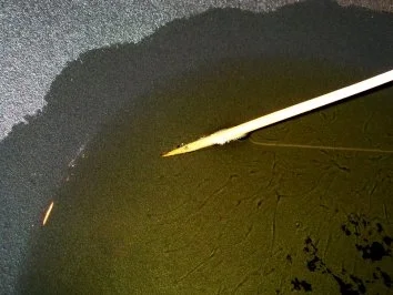 Fleisch: Rinderfilet Szechuan - Rezept - Bild Nr. 6