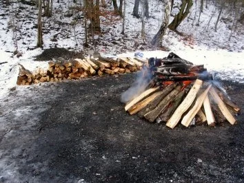 "Solverflaasch" wej em Waald... - Rezept - Bild Nr. 2