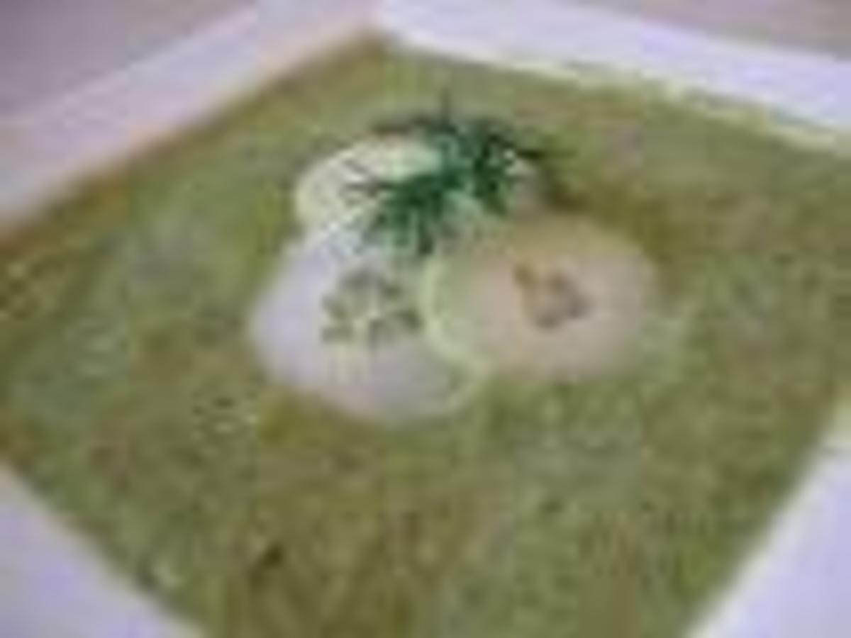 Kalte Gurkensuppe mit Joghurt Rezepte