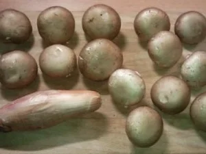 Filetsteak mit Champignons - Rezept - Bild Nr. 2