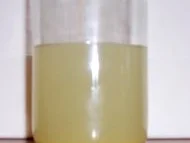 Gewürz: Zitronensaft ... ala Oma - Rezept - Bild Nr. 3