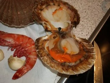 Luxuspasta mit Meeresfrüchten - Rezept - Bild Nr. 3