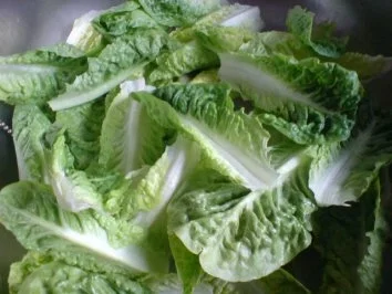 Ein schnelles leichtes Mittagessen - Rezept - Bild Nr. 4