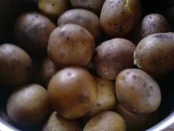 Ein schnelles leichtes Mittagessen - Rezept - Bild Nr. 5