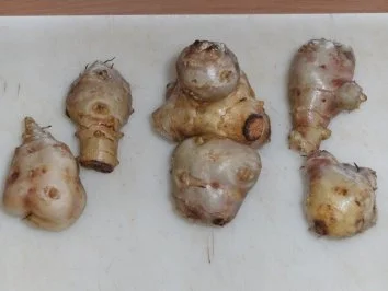 Rezept: Suppe: Klachelsuppe mit Topinambur-Chips Bild Nr. 5 Suppe: Klachelsuppe mit Topinambur-Chips - Rezept - Bild Nr. 5