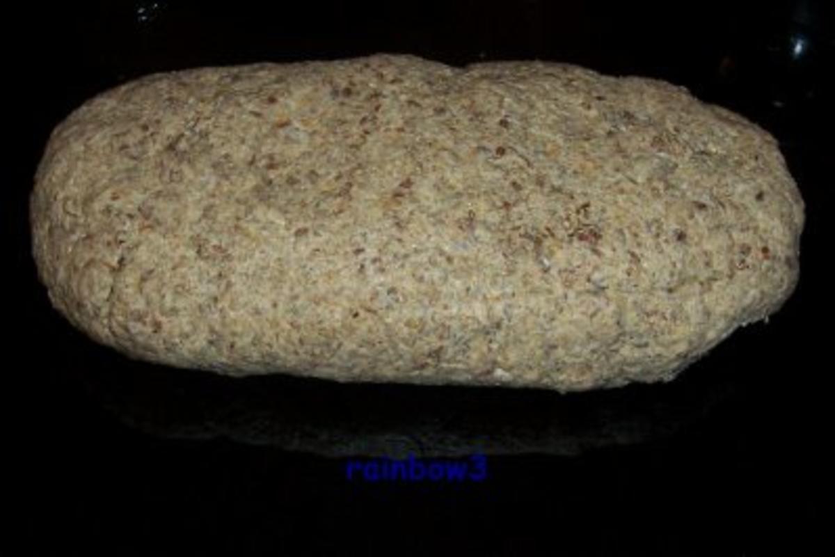 Backen: Roggenschrot-Brot (Sauerteig) - Rezept - Bild Nr. 6