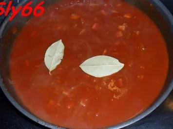 Rezept: Soßen:Schaschlik-Soße nach Sly`s Art Bild Nr. 18 Soßen:Schaschlik-Soße nach Sly`s Art - Rezept - Bild Nr. 18