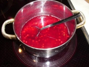 Rezept: Desserts: Finnischer Preiselbeerschaum auf Joghurt Bild Nr. 3 Desserts: Finnischer Preiselbeerschaum auf Joghurt - Rezept - Bild Nr. 3