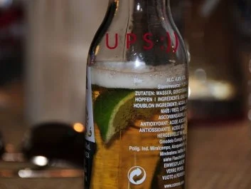 Quesedillas - Rezept - Bild Nr. 7