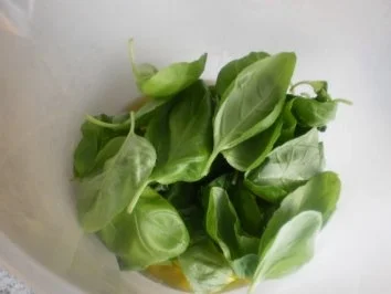 Spaghetti mit Pesto und feinem Fischfilet - Rezept - Bild Nr. 2