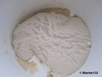 Aprikosen-Mandel-Brötchen - Rezept - Bild Nr. 6