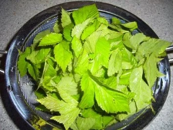 Blätterteigtaschen *türkisch* gefüllt - Rezept - Bild Nr. 3