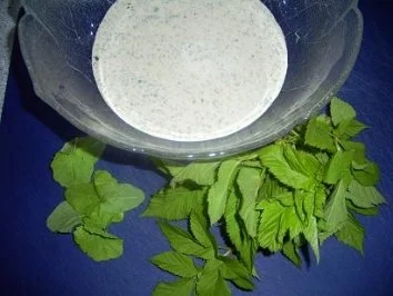 Gierschgrüner Nudelsalat - Rezept - Bild Nr. 2