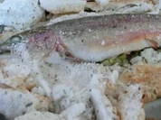 Lachsforelle im Thymian-Salzmantel mit Rosmarinkartoffeln - Rezept