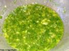 Kräuter-Vinaigrette für Blattsalate - Rezept