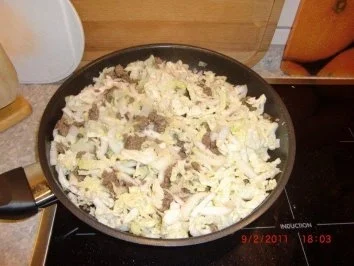 Chinakohl mit Rinderhackfleisch - schnell & einfach - 37 kcal/100g