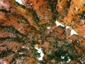 Hausgebeizter Lachs - Rezept - Bild Nr. 13